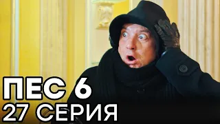 Сериал ПЕС 6 - 6 сезон - 27 серия - ВСЕ СЕРИИ смотреть онлайн | СЕРИАЛЫ ICTV