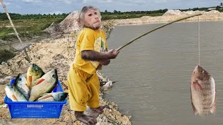 Best Funny! Cutis Rickshaw Harvest Fishing Sell