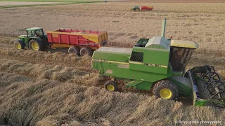 Tarwe dorsen | Wheat harvest | Weizen dreschen | John Deere 1075 | John Deere 2054 | Graanoogst 2021