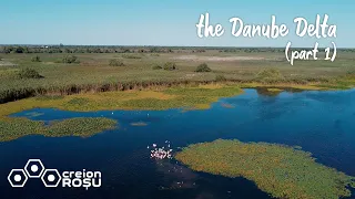 the Danube Delta (part 1)