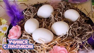 Учимся с Лунтиком 🐇 Пасхальный челлендж - выбираем цвет и дизайн пасхального яйца! 🥚🐣🥚 Новая серия