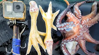 How To Catch Octopus With Chicken Feet (Underwater Spillway Footage)