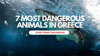 The 7 Most Dangerous Animals In Greece