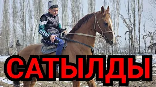 чыгаар замат САТЫЛДЫ