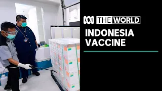 Indonesia 'taking a risk' on coronavirus vaccine from China's Sinovac | The World