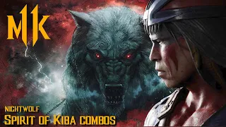 Mortal Kombat 11 Nightwolf Spirit of Kiba combos /The  Baraka Trailer