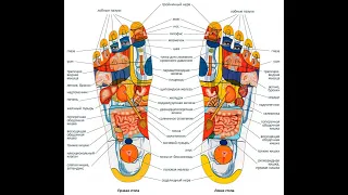 Массаж стоп - Foot massage