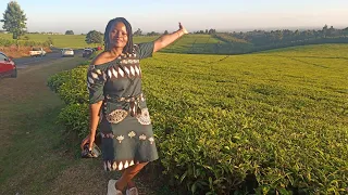 Tea Plantations in a Kenyan Village turned into a photography and Local tourism site.Tigoni. Limuru