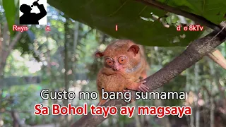 Byaheng Bohol - Brownbuds (4k UHDR 60FPs Dolby Digital Stereo Sound Karaoke Version)