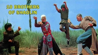 Wu Tang Collection - 10 Brothers of Shaolin