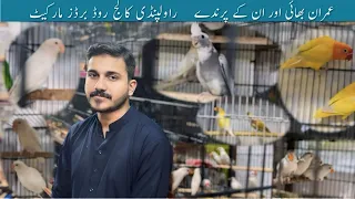 Rawalpindi College Road Birds Market Update 2024. | Madina Birds Shop. #birdshouse #youtube