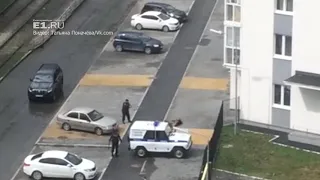 18+ В Екатеринбурге полицейские застрелили агрессивную собаку