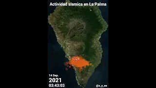 ACTIVIDAD SÍSMICA EN LA ISLA DE LA PALMA - EN DIRECTO - ARIANN #SHORTS
