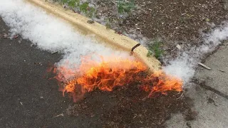 Burning Cottonwood Seeds with kids