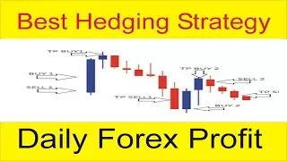 My Secret Hedging Profitable Strategy with 2 Indicators Mix Up in Hindi and Urdu by Tani Forex