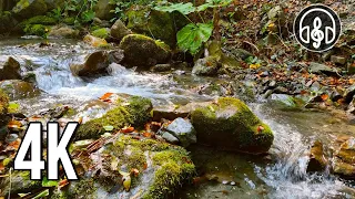 Relaxing mountain stream. Gentle sounds of flowing water without birdsong.