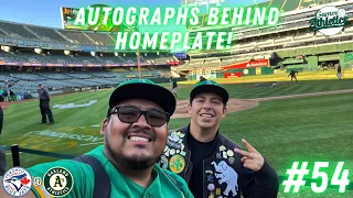 Autographs Behind Homeplate!