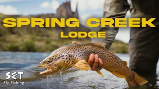 Spring Creek Lodge - A Gem of Argentina