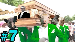 Coffin Dance Meme: HUMANS VS WILD ANIMALS Meme Compilation #7