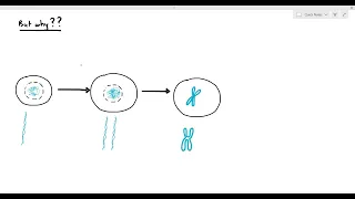 5-3 Chromosomes? Chromatins? Chromatids? SISTER CHROMATIDS?? (Cambridge AS A Level Biology, 9700)