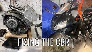 FIXING THE CBR ! Replacing the timing chain and air filter