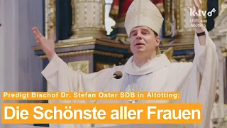 "Die Schönste aller Frauen" - Predigt von Bischof Stefan Oster SDB zu Mariä Himmelfahrt