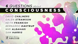 6 Questions about Consciousness | w/ Chalmers, Strawson, Kastrup, Frankish, Albahari, Harris