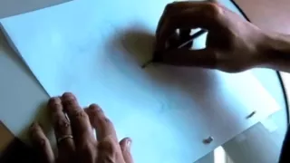 Sylvain Chomet Animating