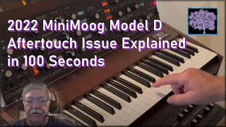 2022 MiniMoog Model D Aftertouch Issue Explained in 100 Seconds