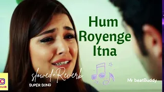 Hum Royenge Itna Hame Maloom Nahi Tha [Slowed+Reverb] Aleena Khan l Beat buddy songs