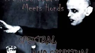 Nekrosferatu Meets Honds - Spektral and Spiritual