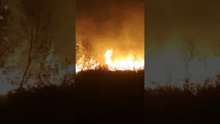 сильный пожар в лесу 2020