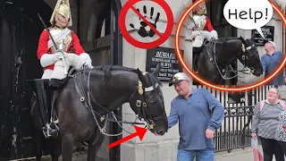 SHOCKING!😳 King's Horse Bites His Hand!