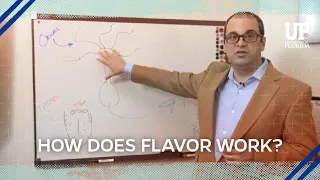 University of Florida Health’s Steve Munger Explains Flavor Perception