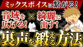 【ミックスボイス 出し方 練習法 感覚】裏声 音域 広げる方法 きれいに出す 高い声を楽に出す！ボイトレ【男性】