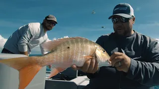 Guidelines - Shallow Water Mutton Snapper Fishing