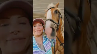 Horse is giving owner kisses!