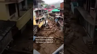 Heaviest rains in 41 years triggers devastation in India