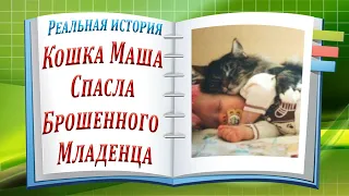 Кошка Маша Спасла Двухмесячного Младенца