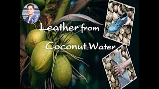 #060 || Leather From Coconut Water || Vegan Leather ||