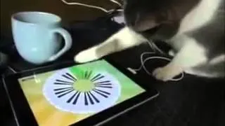 Kote igraet Rekviem po mechte na Ipad!240