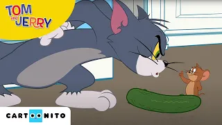 A Tom és Jerry-show | Kígyóuborka-fóbia | Cartoonito