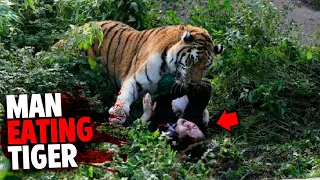 This Man-Eating Tiger Preyed on 436 People!