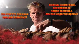 Гордон Рамзи на самых грязных кухнях !(Kitchen Nightmares)