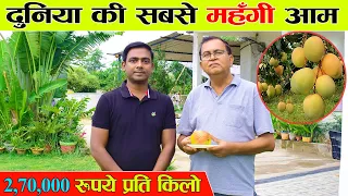 एक आम की क़ीमत एक लाख | Miyazaki Mango Farming in Chhattisgarh |