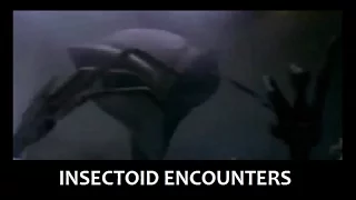 'Insectoid Encounters' | Paranormal Stories