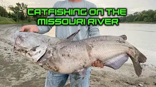 BIG BLUE CATFISH Pulled Out Of Missouri River