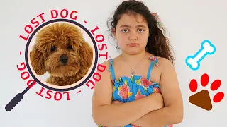 Öykü lost her dog and other stories for kids