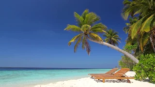 🔅 Soothing Tropical Beach View on Paradise Island Maldives with Relaxing Sounds of Calm ocean waves