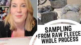 Unboxing and Sampling/Washing/Processing/Carding/Combing/Flicking A Raw Finn Fleece